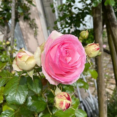 Belle Fontaine 호텔 부르주 외부 사진