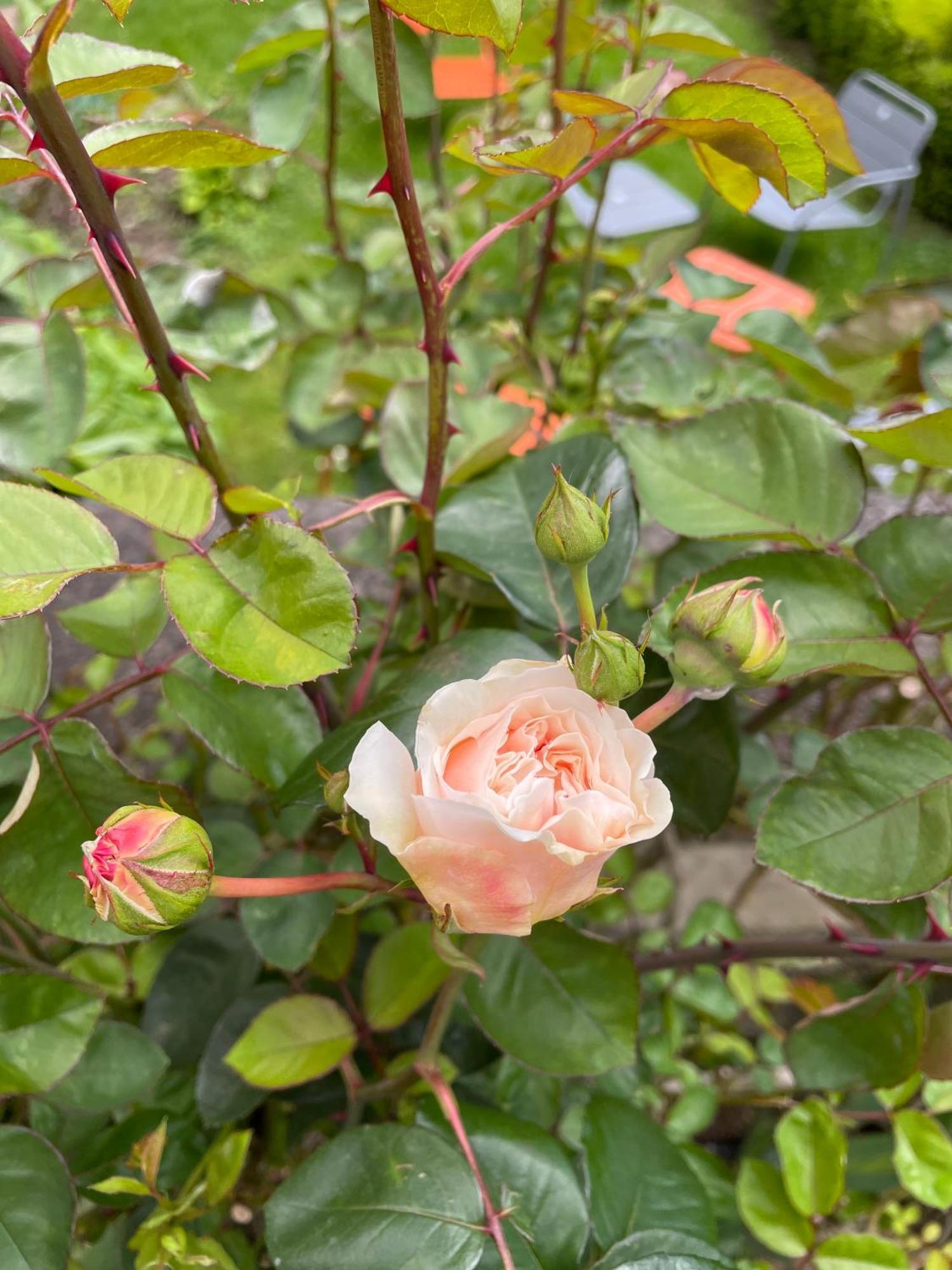 Belle Fontaine 호텔 부르주 외부 사진