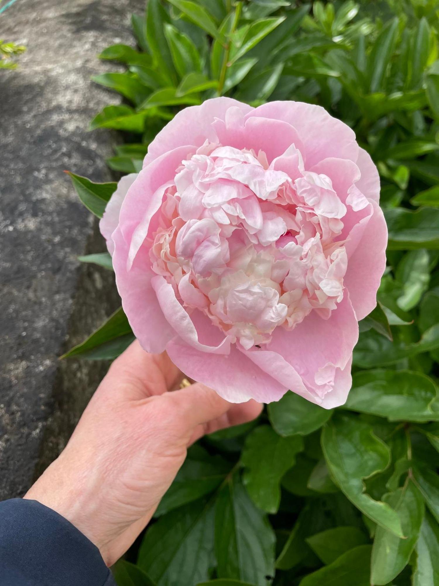 Belle Fontaine 호텔 부르주 외부 사진